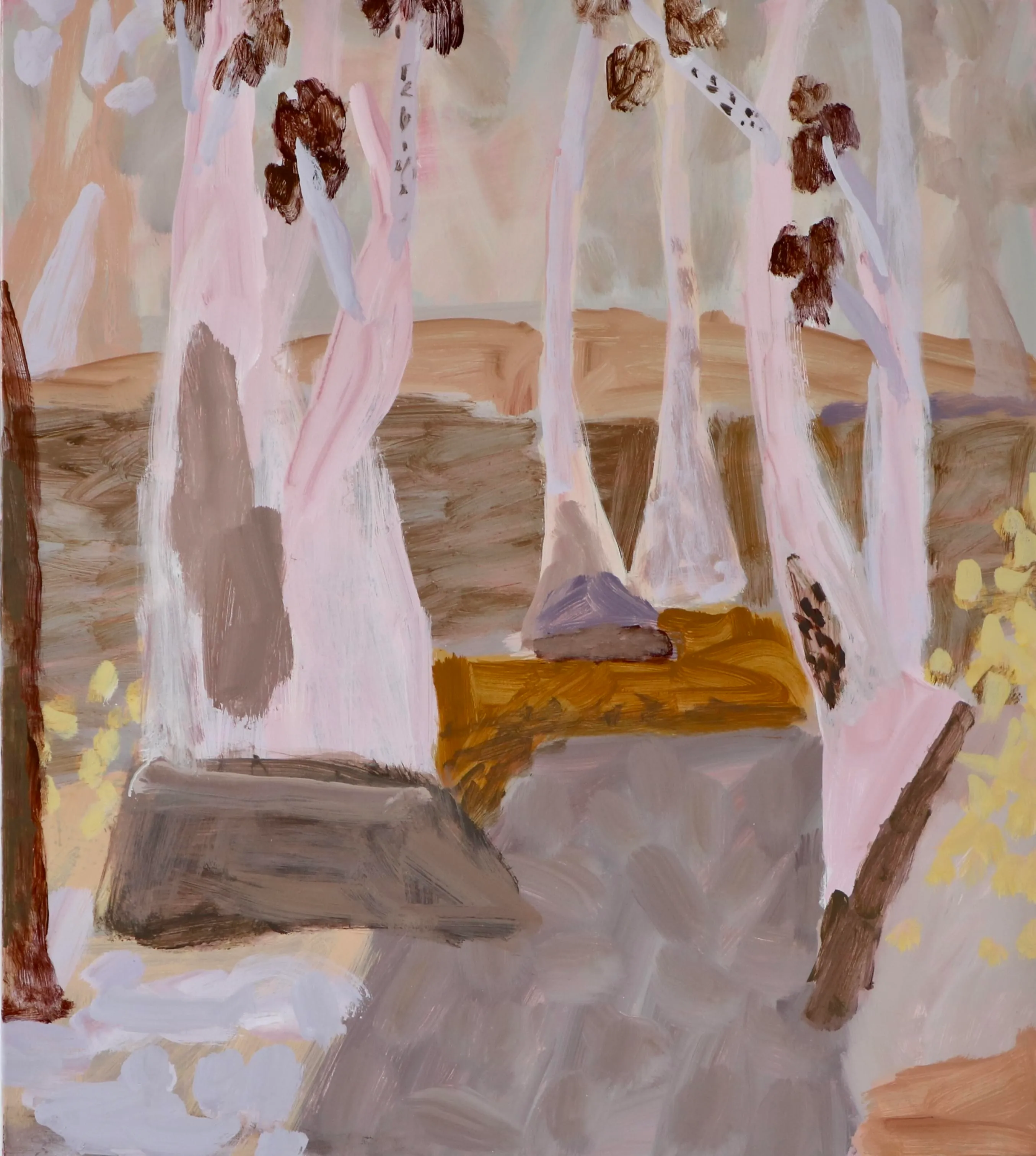 Wendy_McDonald_2024_Autumn_with_Paper_Daisies_Koondrook_Perricoota_Forest 2